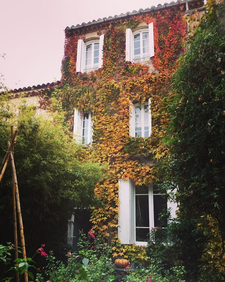 Le Logis Blanc Bed&Breakfast Coursan Luaran gambar