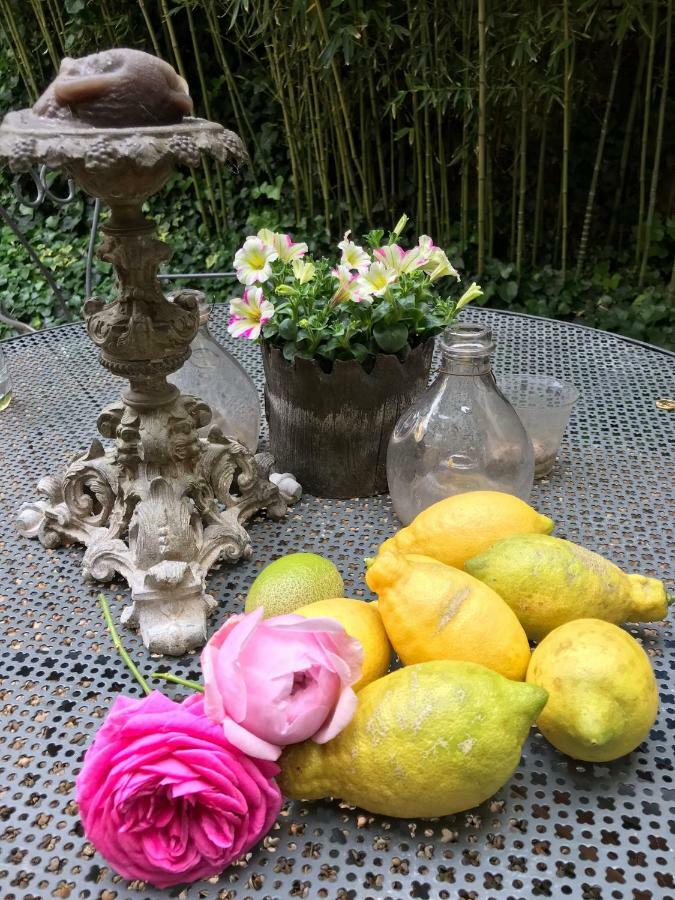 Le Logis Blanc Bed&Breakfast Coursan Luaran gambar
